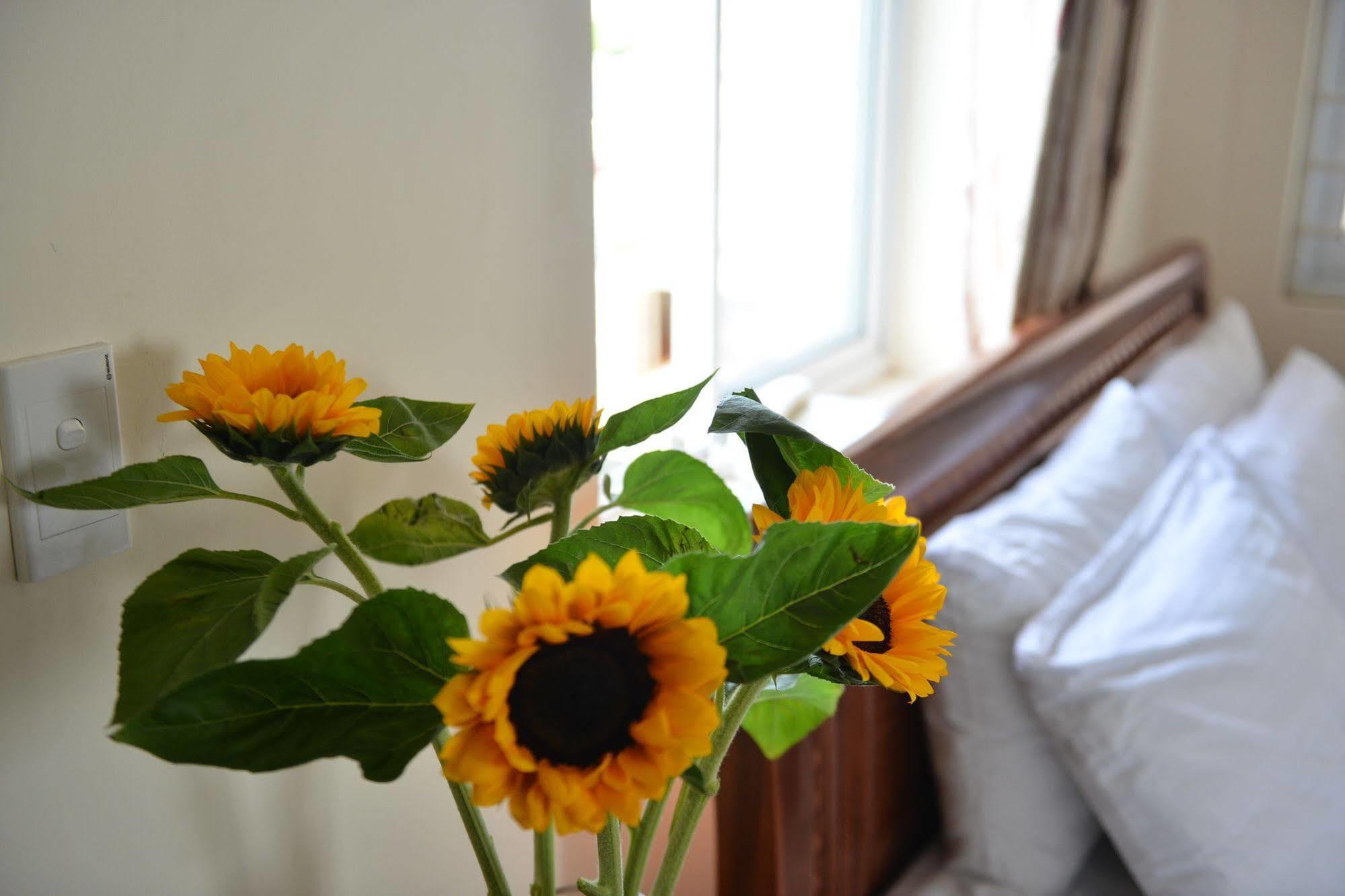 Oc Tien Sa Hotel Da Nang Exterior photo